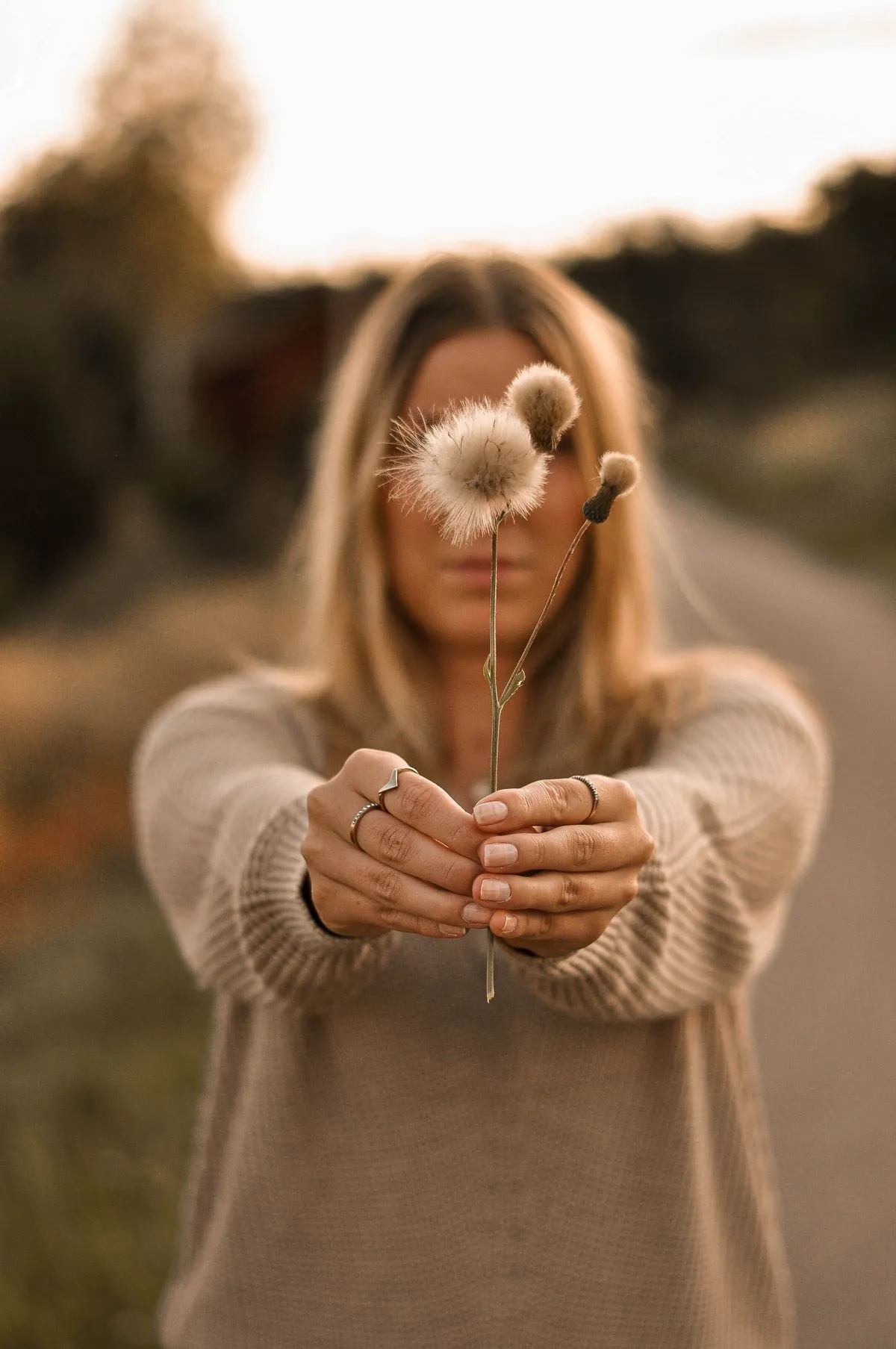 Frau hält eine Pusteblume ins Gegenlicht